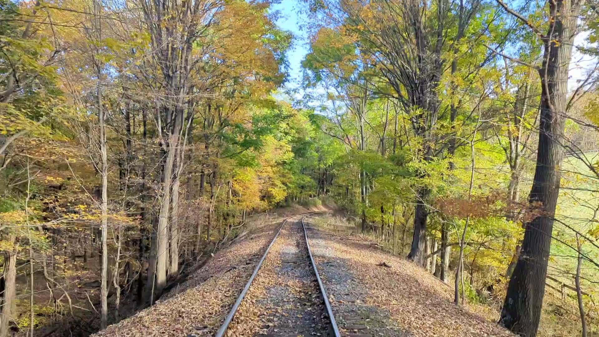 Fall foliage over the rails and the Great Allegheny Passage near Frostburg, Maryland